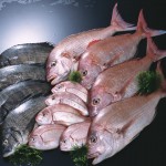 林先生も知らなかった？昔までは雑魚扱いされていた魚の驚くべき効果とは？